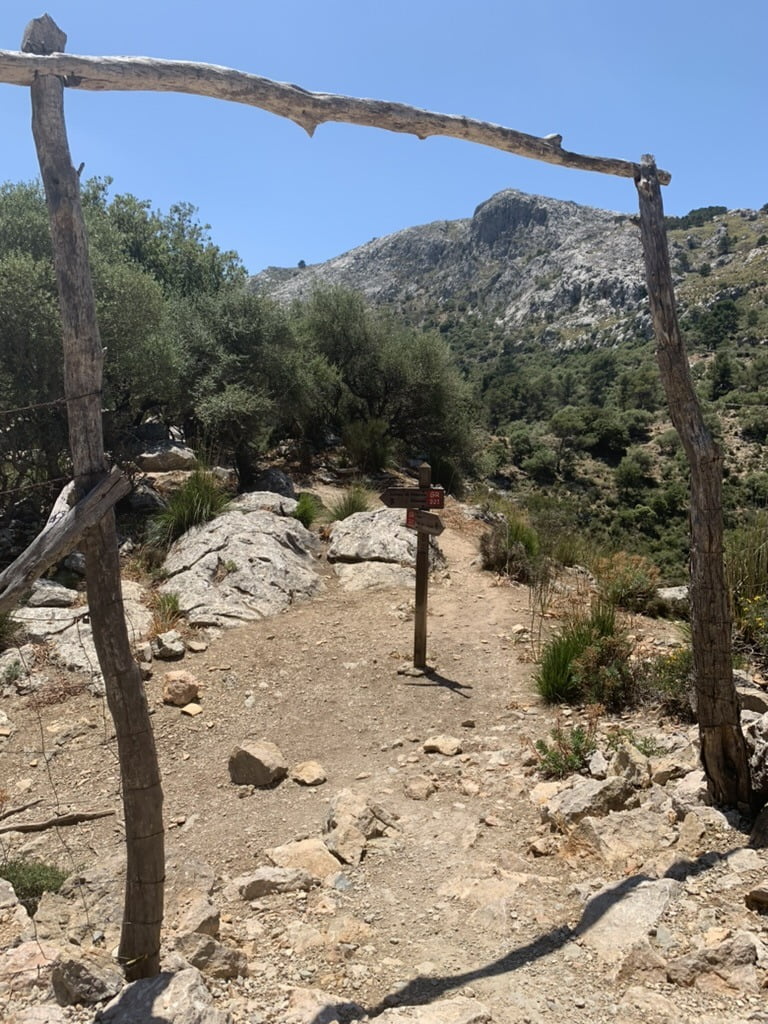 Hiking in the Serra de Tramuntana - Guide