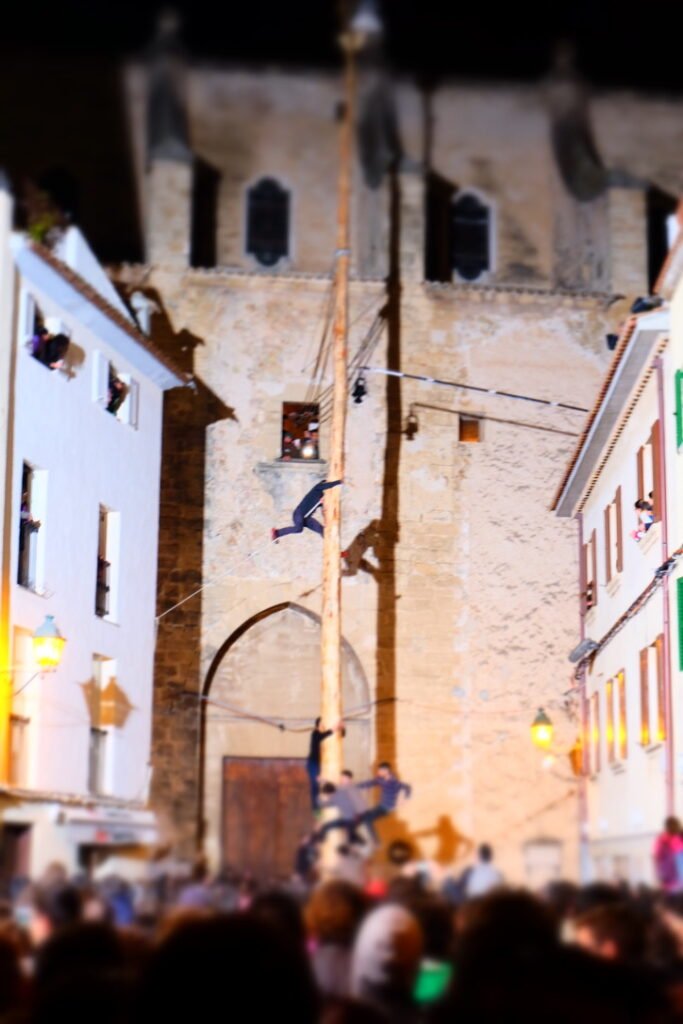 Climbing the Pine Sant Antoni Fiesta