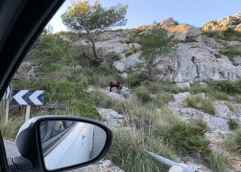 Learn to Drive in Mallorca