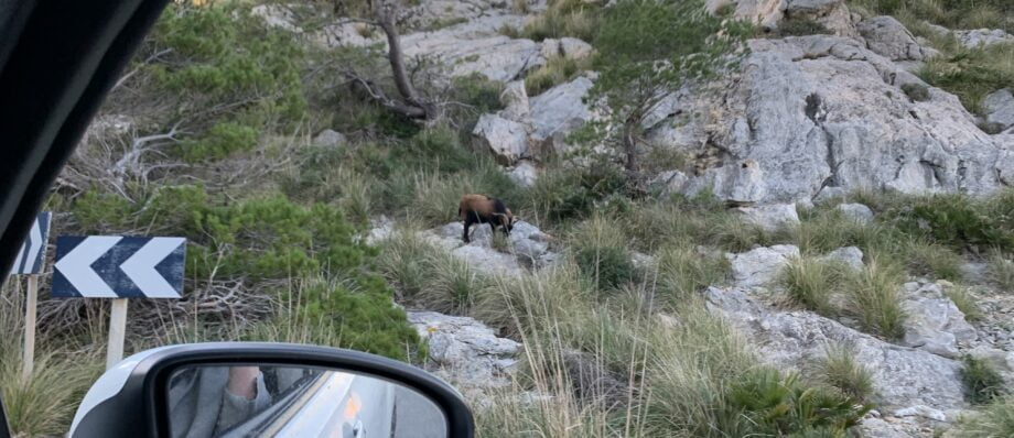 Learn to Drive in Mallorca